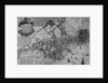 Plan of Boston, New England, 1739 by American School