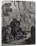 London Monkeys by Gustave Dore