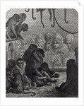 London Monkeys by Gustave Dore