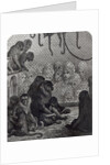 London Monkeys by Gustave Dore