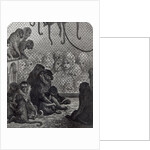 London Monkeys by Gustave Dore