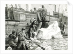 The Arctic Expedition Watering from an Iceberg by English School