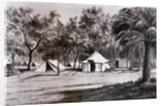 Lord Wolseley's Camp at Korti by English School