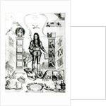 The Emblem of England, October 1690 by English School