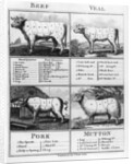 Beef, Veal, Pork, and Mutton Cuts, 1802 by English School