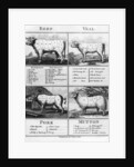 Beef, Veal, Pork, and Mutton Cuts, 1802 by English School