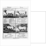 Beef, Veal, Pork, and Mutton Cuts, 1802 by English School