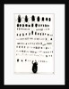 Darwin's insect collection by Anonymous