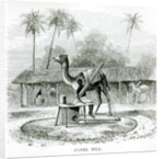 Camel Mill by English School