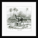 Camel Mill by English School