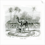 Camel Mill by English School