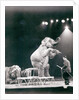 Elephant performing in a Circus by Anonymous
