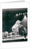 Elephant performing in a Circus by Anonymous