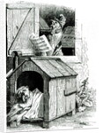 Dog sleeping and cockerel singing, from J. Thomson's 'Public and Private Life of Animals' by English School