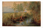 Landscape by Peter Paul Rubens