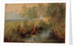 Landscape by Peter Paul Rubens