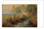 Landscape by Peter Paul Rubens