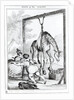 State of the Giraffe, 1829 by William Heath