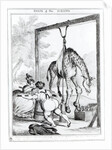 State of the Giraffe, 1829 by William Heath