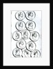Portraits of Roman Emperors by Henry R. Cook