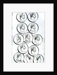 Portraits of Roman Emperors by Henry R. Cook