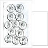 Portraits of Roman Emperors by Henry R. Cook