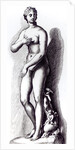 Venus Aphrodite, c.1653 by Francois Perrier