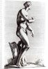 Venus Aphrodite, c.1653 by Francois Perrier