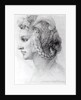 Ideal Head of a Woman, c.1525-28 by Michelangelo Buonarroti