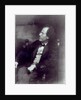 Portrait of Gustav Mahler, c.1907 by Photographer Austrian