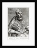 Portrait of Pope Pius IV, 1555 by Italian School