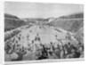 Revival of the Olympic Games in Athens: Loues winning the race from Marathon, 10th April 1896 by English School