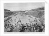 Revival of the Olympic Games in Athens: Loues winning the race from Marathon, 10th April 1896 by English School