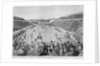 Revival of the Olympic Games in Athens: Loues winning the race from Marathon, 10th April 1896 by English School