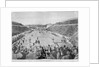 Revival of the Olympic Games in Athens: Loues winning the race from Marathon, 10th April 1896 by English School