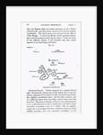 Map of the Galapagos Archipelago, 1844 by English School