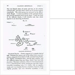 Map of the Galapagos Archipelago, 1844 by English School