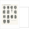 Decorative initials, 1889 by Anonymous