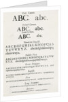 Specimen typefaces by English School