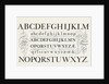 Specimen typefaces by Anonymous
