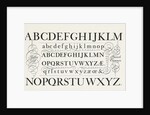 Specimen typefaces by Anonymous