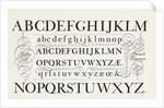 Specimen typefaces by Anonymous