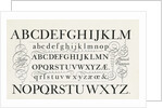 Specimen typefaces by Anonymous