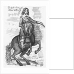 Portrait of Sir William Waller by English School