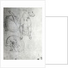 Study of a dog and a cat, c.1480 by Leonardo da Vinci