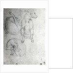 Study of a dog and a cat, c.1480 by Leonardo da Vinci