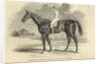 Sir Tatton Sykes, Winner of the St. Leger by John Frederick Herring Snr