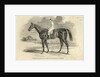 Sir Tatton Sykes, Winner of the St. Leger by John Frederick Herring Snr
