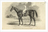 Sir Tatton Sykes, Winner of the St. Leger by John Frederick Herring Snr