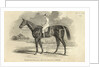Sir Tatton Sykes, Winner of the St. Leger by John Frederick Herring Snr